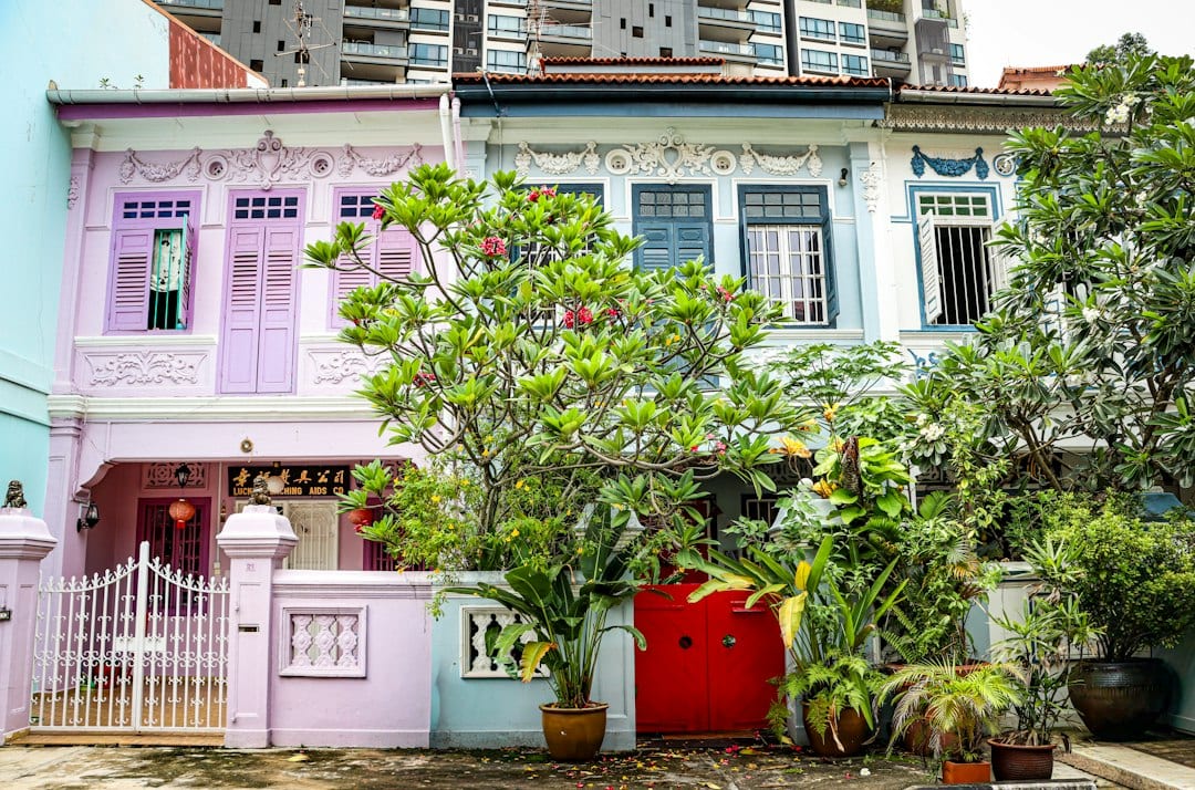 Colourful Singapore landed homes with lush greenery in District 15